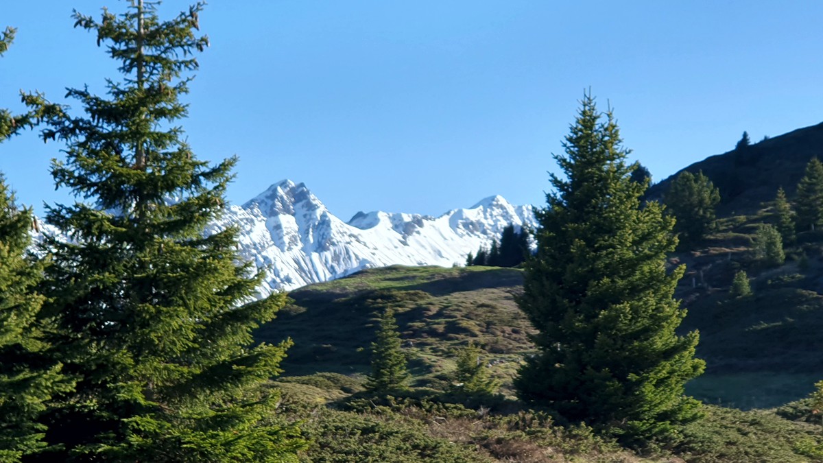 Schweiz Arosa Erzhorn und Arosa Rothorn in Plessuralpen