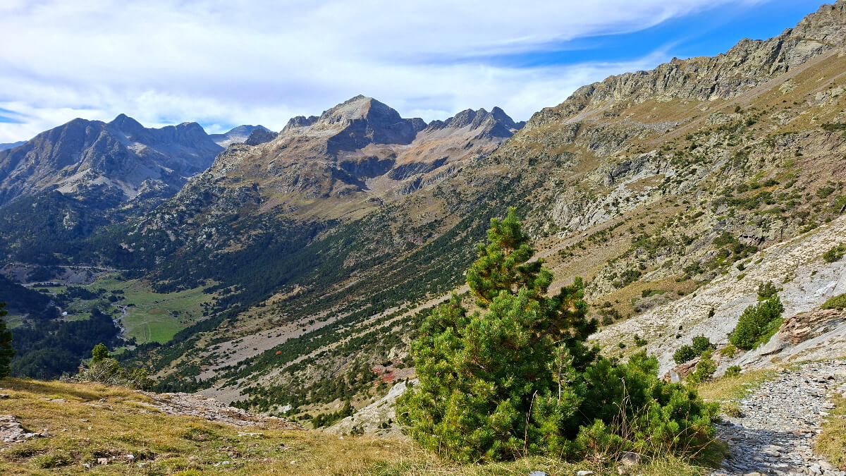 Pyrenaeen Bei Benasque