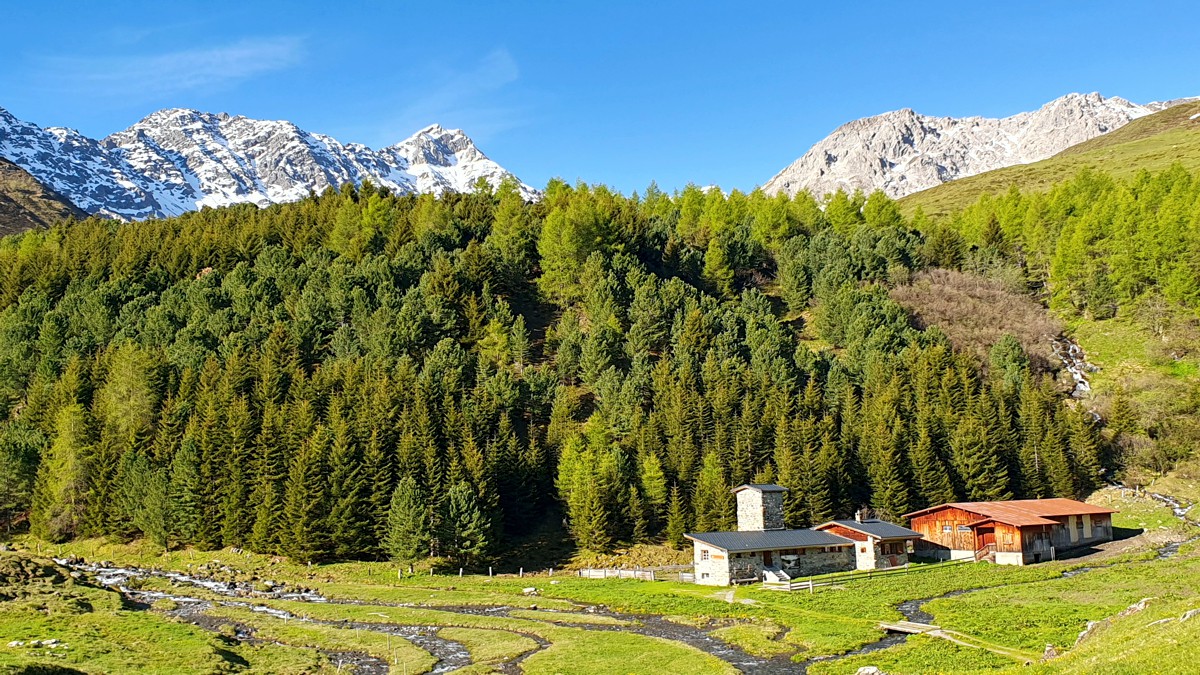 Arosa Rothorn und Erzhorn – Die Könige der Plessuralpen