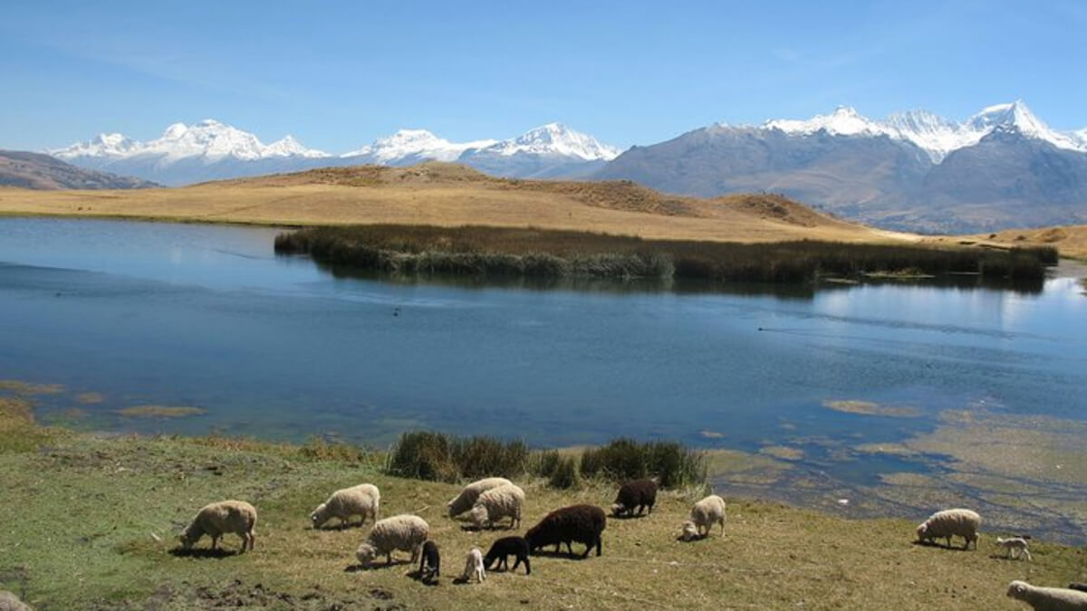 El Brujo und die Schätze von Leymebamba: Eine Reise in das Reich der Wolkenkrieger in Peru