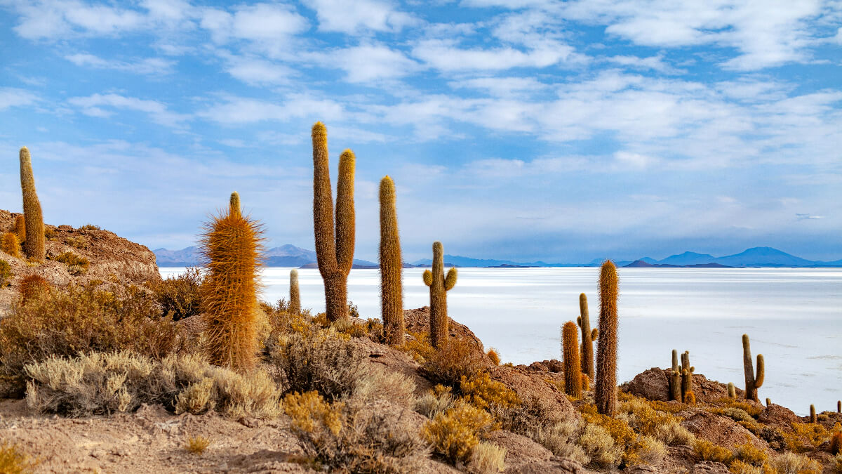 Die beste Reisezeit für Bolivien: Wann rufen die Anden?