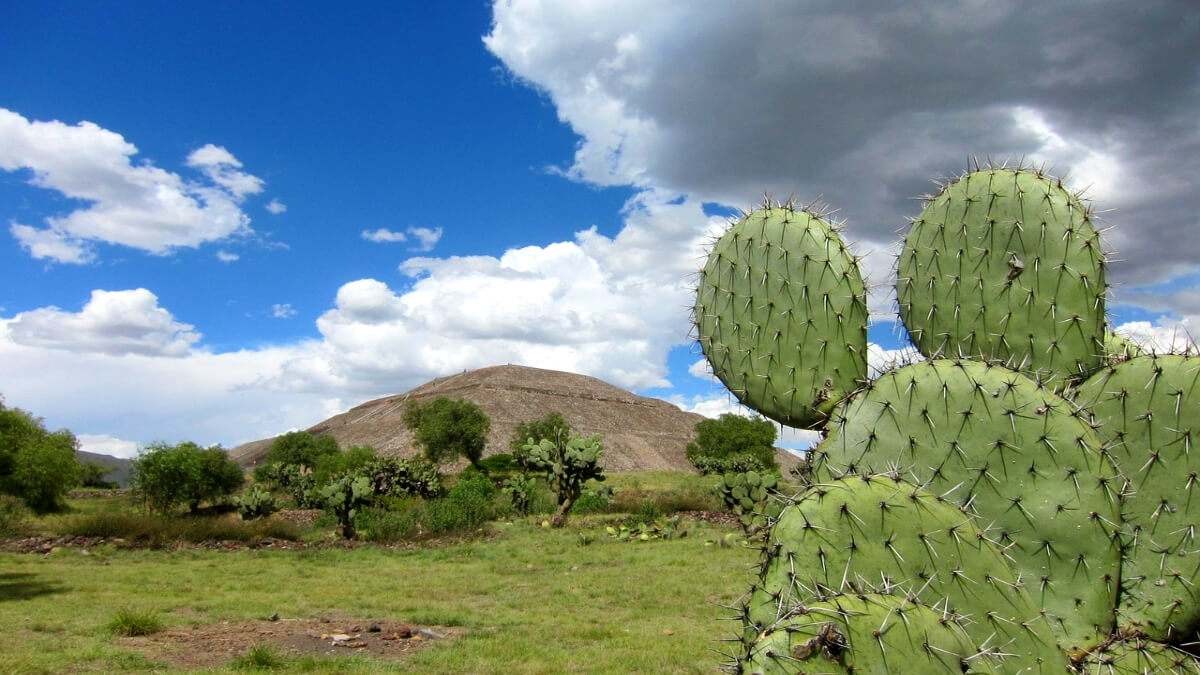 Meine Besteigungen in Mexiko
