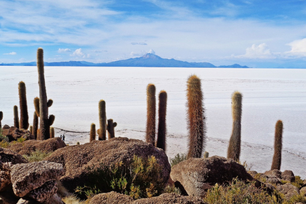 Unsere Reisen nach Bolivien