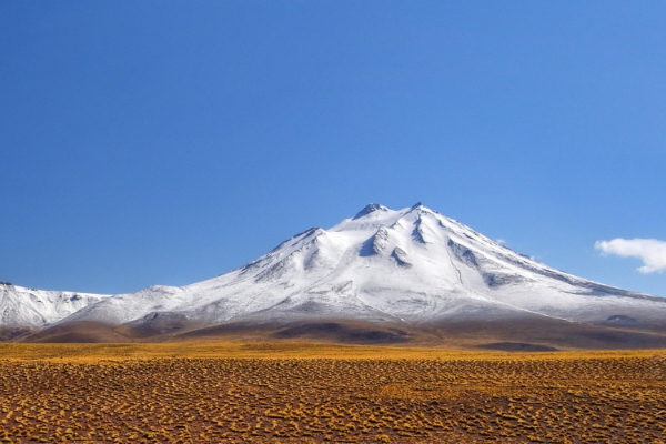 Unsere Reisen nach Chile
