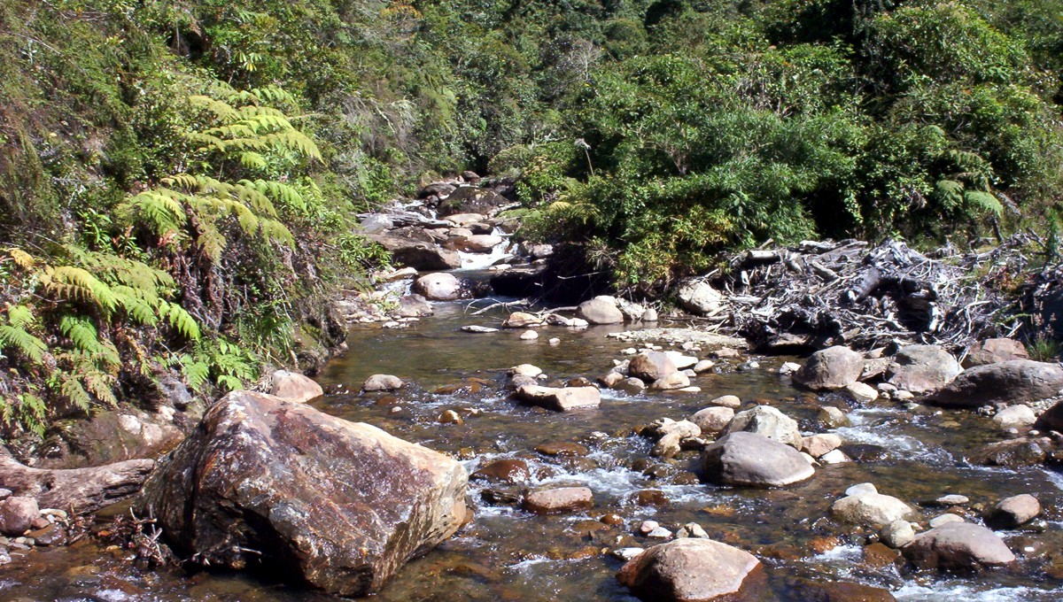 Bolivien • Blockade auf der „gefährlichsten Straße der Welt“