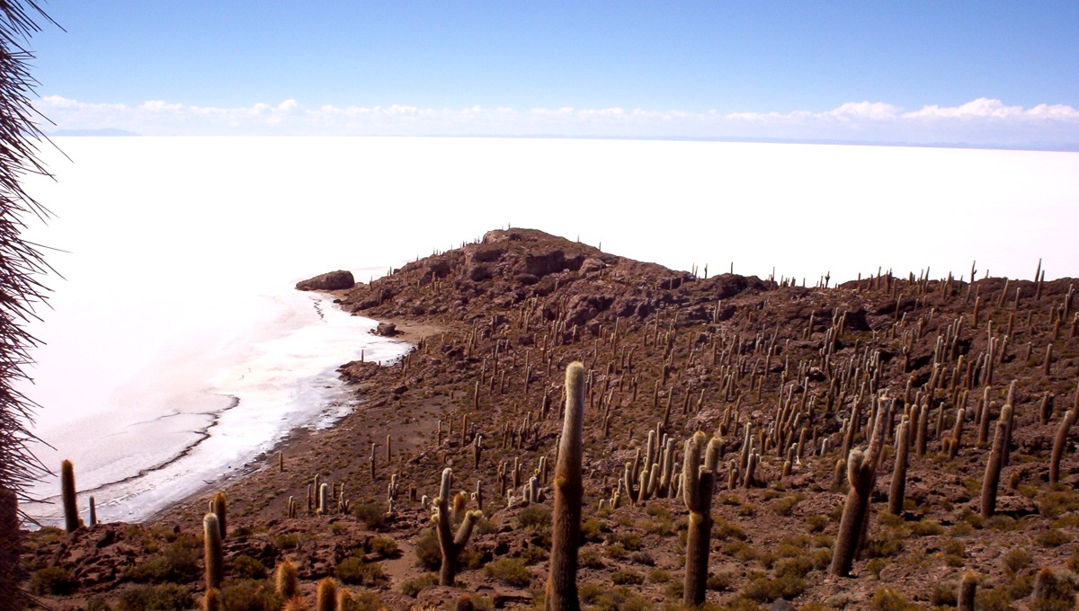 Bolivien • Tour durch ein Meer aus Salz