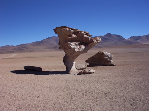 Arbol-de-Piedra