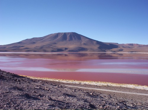 Laguna-Colorada-Uyuni