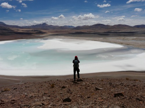 Lagunas-Miscanti