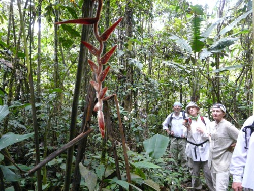 Jatun-Sacha-Ecuador