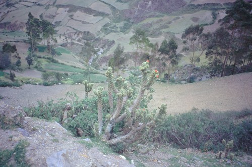 Trekking-Inkapirca