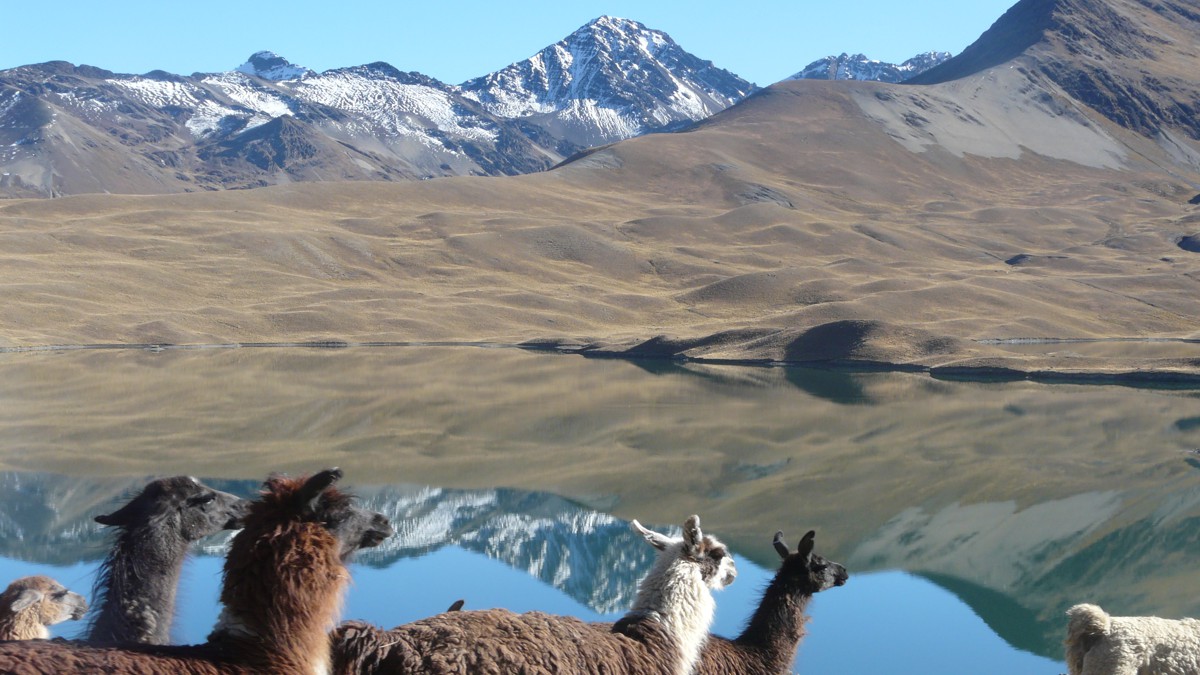 Cerro Austria ueber dem Tunisee