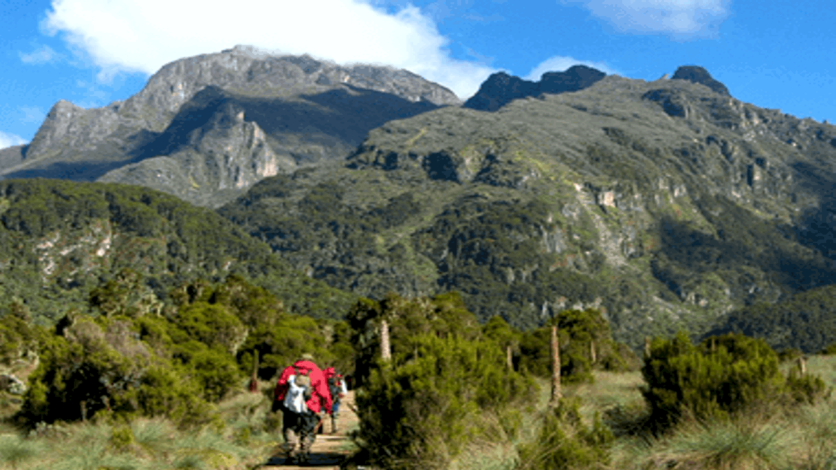 Rwenzori Anmarsch Uganda