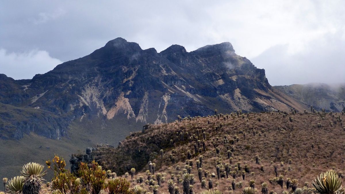 Los Nevados