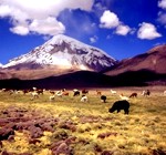 Bolivien - Land der Berge