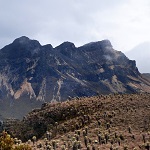 Nevado de Tolima Los Nevados Tourbild